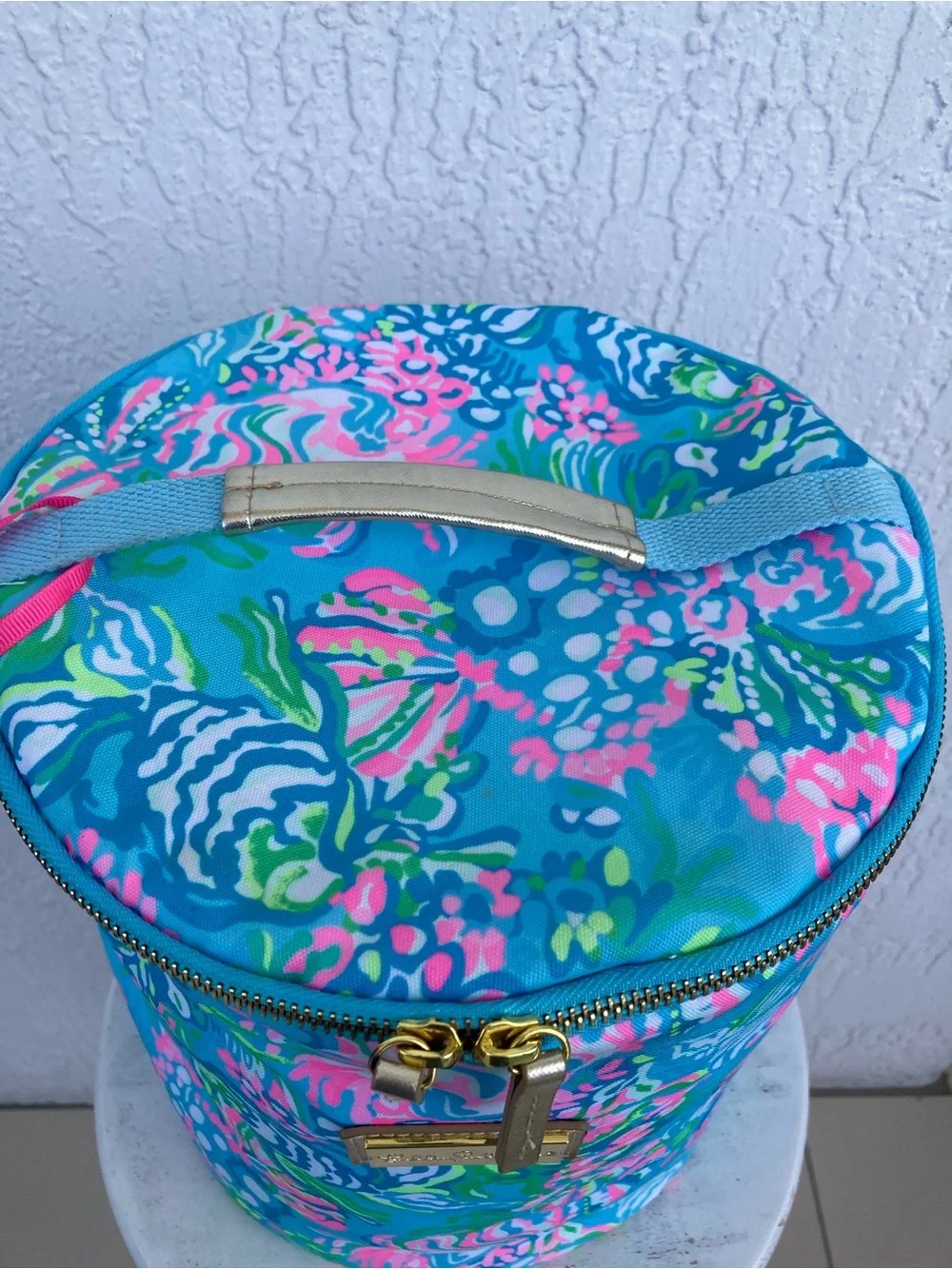 Lilly Pulitzer Insulated Beach Cooler Bag Best Fishes Blue Pink NO LONG STRAP